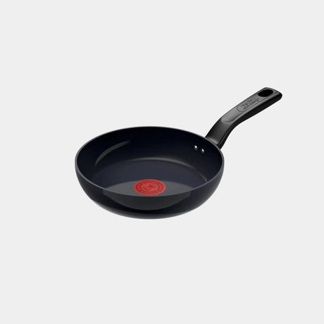 Tefal Change Sort Stegepande 20 cm-Ritz Isenkram