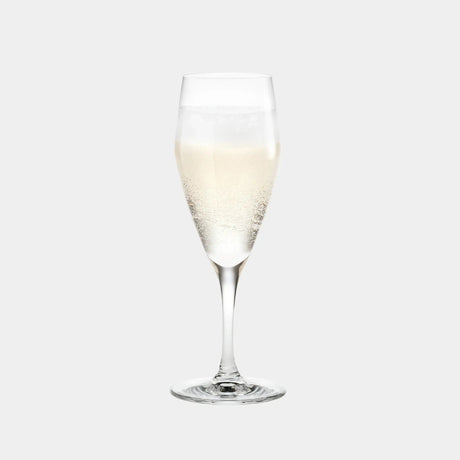 Holmegaard Perfection Champagneglas 6 stk 23 cl-Rosendahl